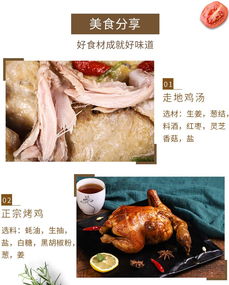 散养白羽鸡 零激素农家走地，新鲜健康营养直达餐桌