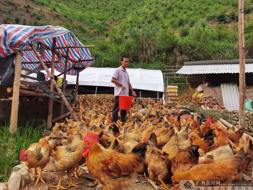 三江人坐上高铁寻梦想 回乡创业焕发侗乡新面貌