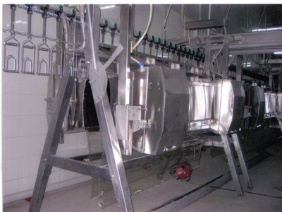 热销TQC系列A型立式脱毛机 高效卫生的家禽屠宰初加工解决方案